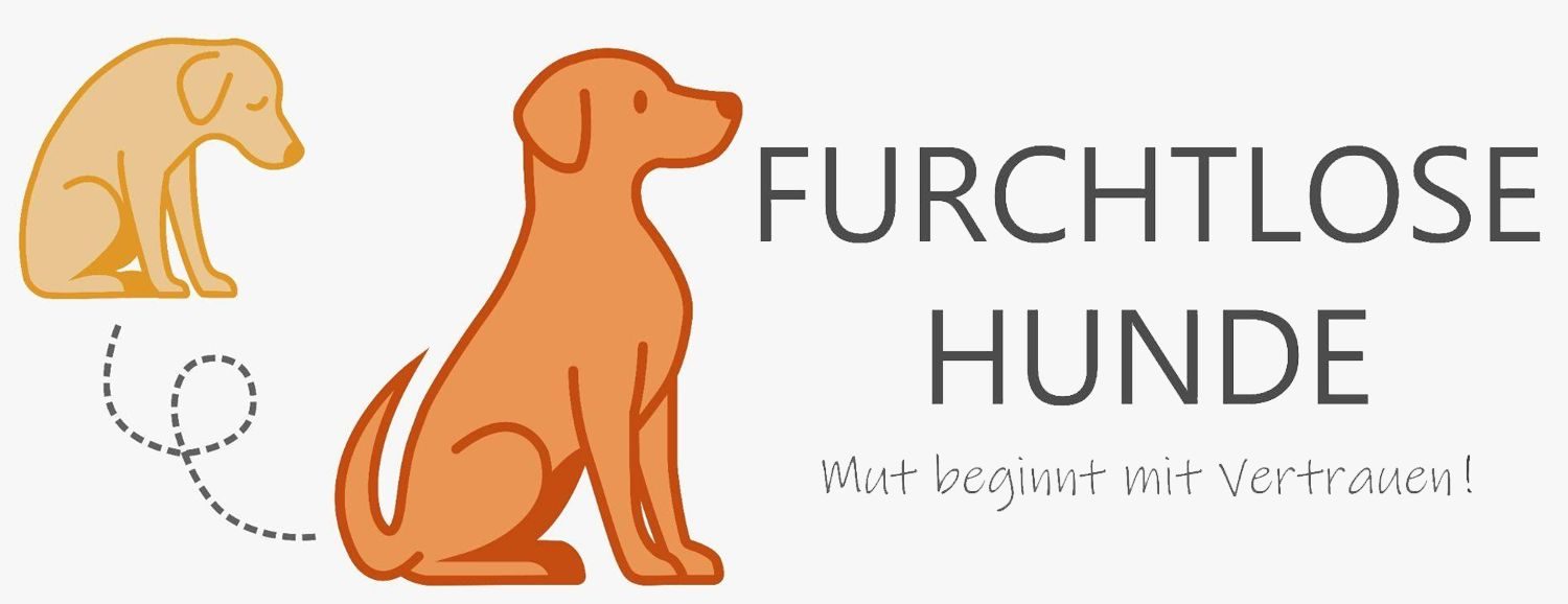 Furchtlose-Hunde | Christinas Hundeschule